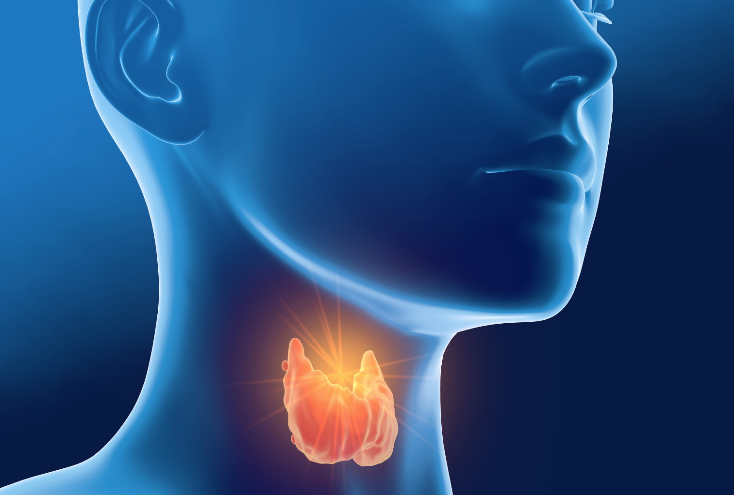 Thyroid information